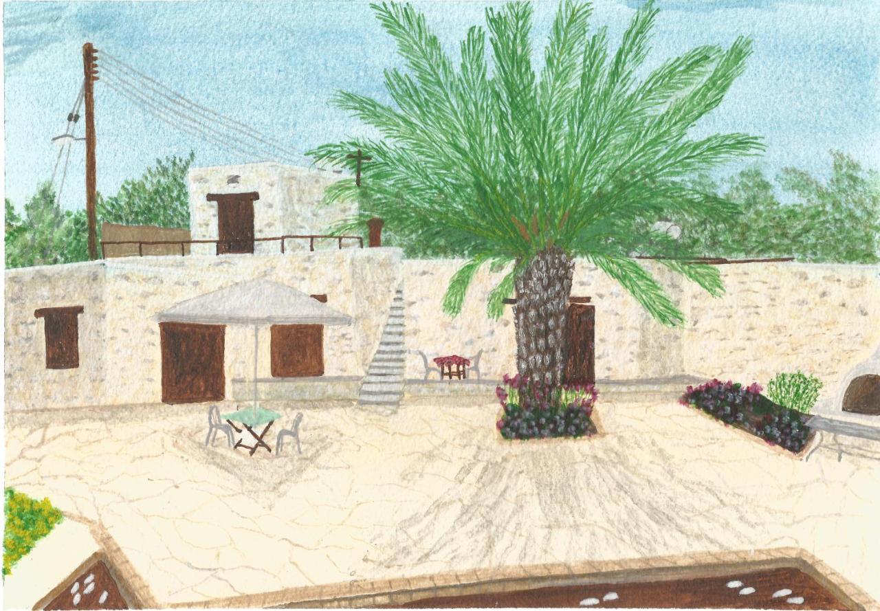 Palm Tree Oriental House And Homestay 폴리스 외부 사진